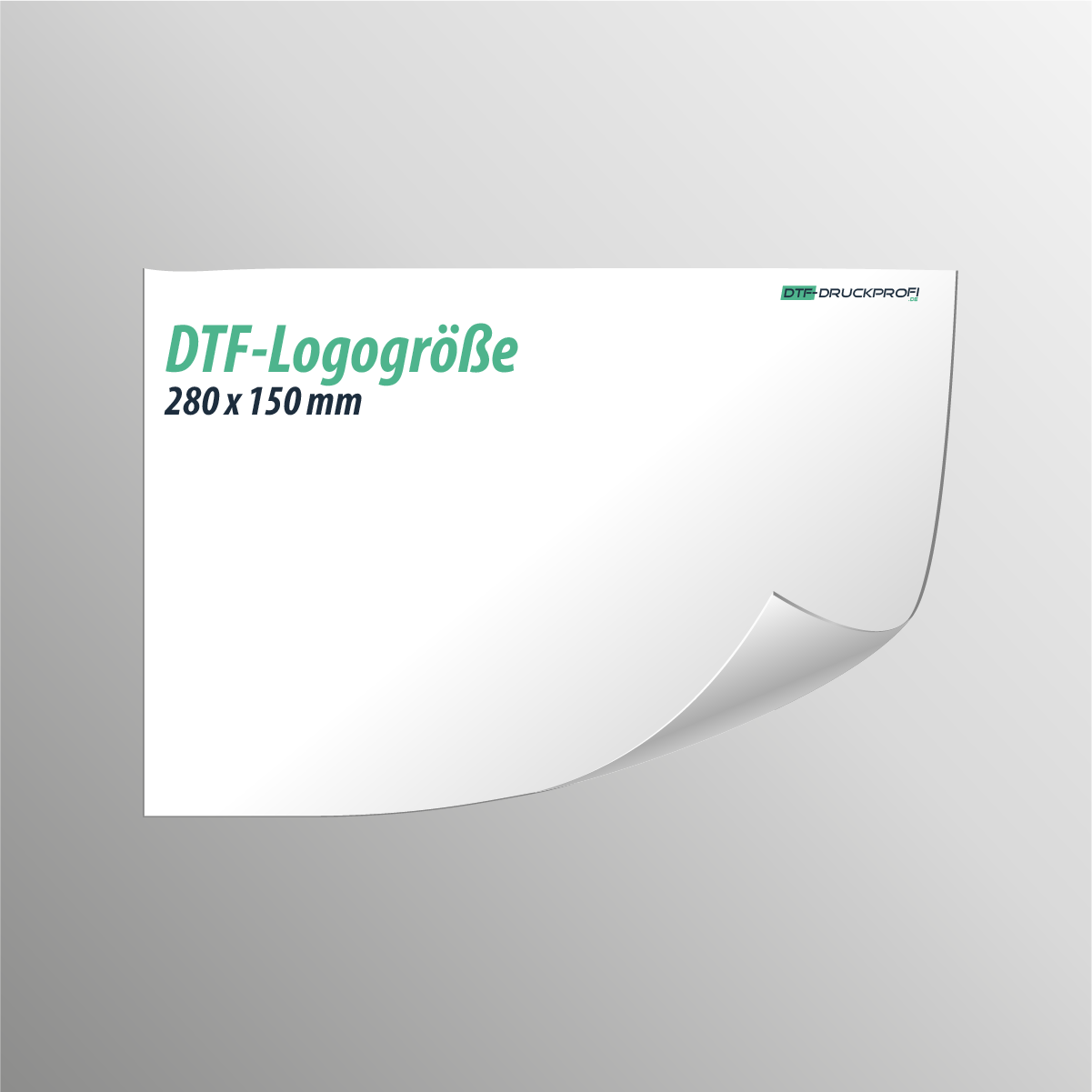 DTF-Transfer - Logo bis 280x150mm