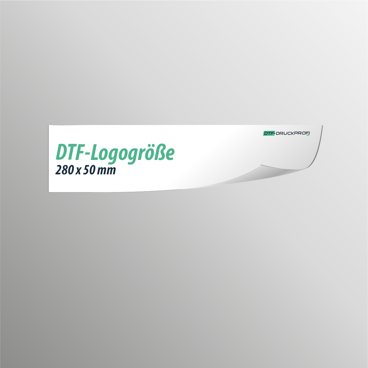 DTF-Transfer - Logo bis 280x50mm
